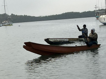 gambia-austern-ss1