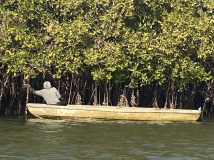gambia-austern-frauen-ernten
