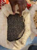 06 gambia-auf-dem-markt-13