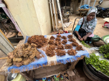 07 gambia-auf-dem-markt-27