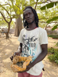 05 gambia-austern-auf-pappe-00