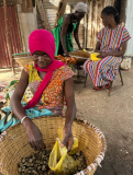 04 gambia-austern-ausloesen-03