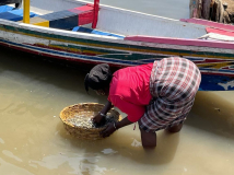 01 gambia-austern-waschen01