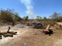 02 gambia-austern-00