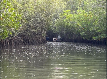 01 gambia-zum-elefantenaum