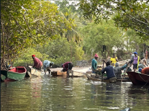 06 gambia-zum-elefantenbaum-06
