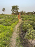 07 gambia-zum-elefantenbaum-07