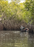 02 gambia-zum-elefantenbaum-92
