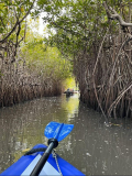 03 gambia-zum-elefantenbaum-94