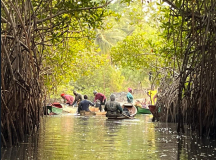 05 gambia-zum-elefantenbaum-95