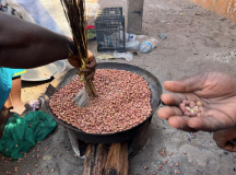 01 gambia-erdnuesse-ss2