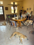 15 gambia-horsedonkey-aufenthaltsraum