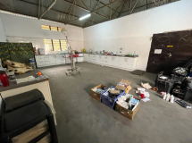 01 gambia-horsedonkey-op-raum