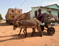 gambia-lamin-05