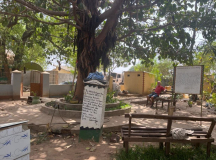 gambia-mac-carthey-baum