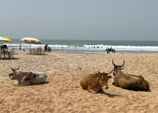 01 gambia-strand-khe