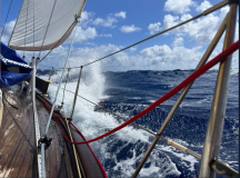 01 brasilien-fernando-jacare-01