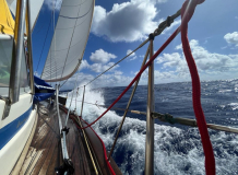 brasilien-fernando-jacare-02