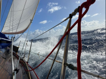 brasilien-fernando-jacare-07