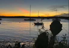 brasilien-jacare-ss2