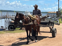 brasilien-jacare-village01