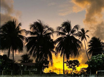 brasilien-marina-jacare-01