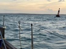 03 brasilien-fernando-jacare-08