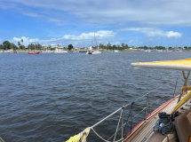 05 brasilien-fernando-jacare-13