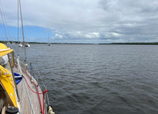 06 brasilien-fernando-jacare-14