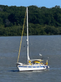 13 alencois-zurueck-01
