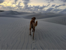 04 brasilien-lencois-duenen-03