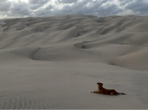 06 brasilien-lencois-duenen-04