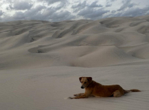 05 brasilien-lencois-duenen-05