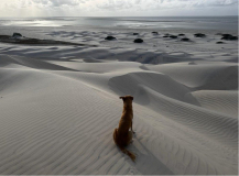 07 brasilien-lencois-duenen-07