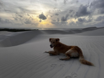 02 lencois-duenen-mit-hund-03