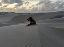 03 lencois-duenen-mit-hund-04