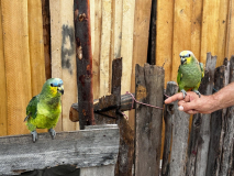 brasilien-lencois-dorfleben-06