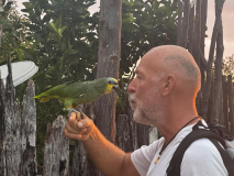 brasilien-lencois-papagei-01