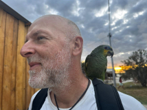 brasilien-lencois-papagei-02