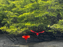 06 lencois-zum-leuchtturm-im-dinghi-roter-ibis