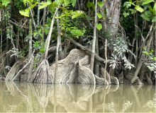 02 adventrue-brazil-amazon-08