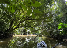 08 adventure-brazil-amazon-09