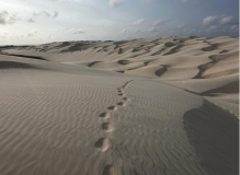 adventure-brazil-duenen-lencois