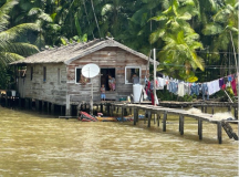 07 advanture-brazil-japiim-