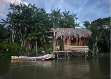 06 adventrue-brazil-amazon-06