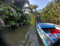 02 adventure-brazil-japiim-01