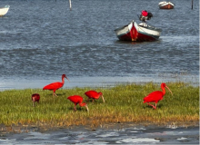 02 adventure-brazil-lencois-01