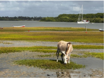 06 adventure-brazil-lencois-02