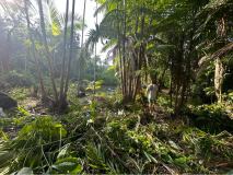 brasilien-amazonas-mit-kanu-kirche