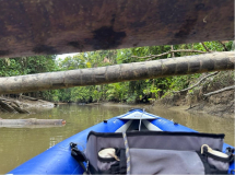 brasilien-amazonas-kanu-natur-pur-02